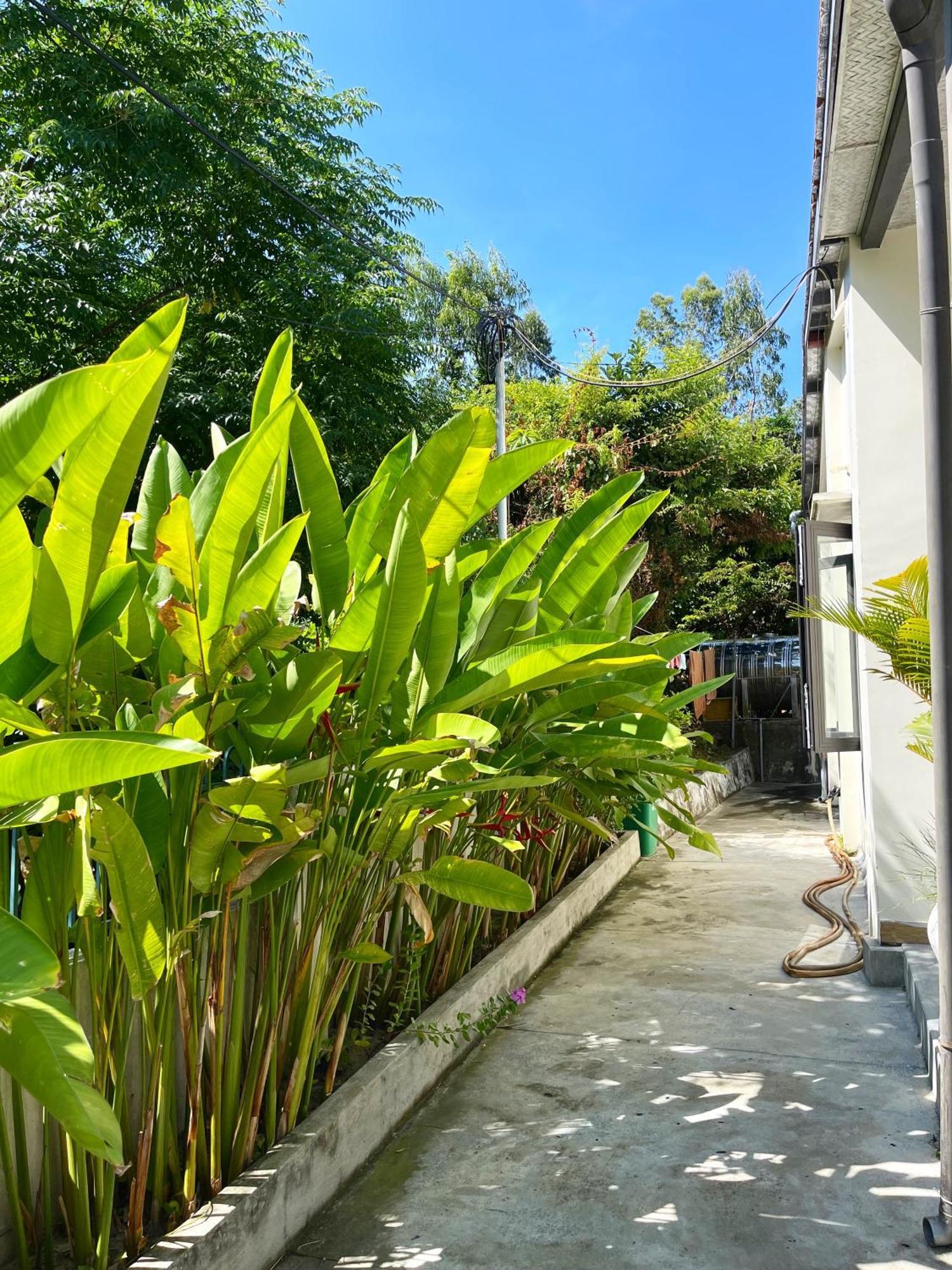 Crest House Beachside - Three-Bedroom Private House On Cham Island Hoi An Tân Hiệ Esterno foto